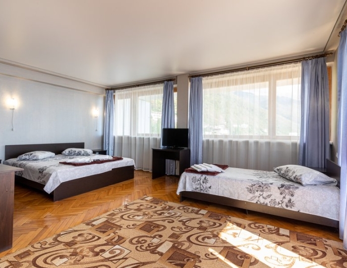 Люкс 3-местный 1-комнатный - Дом отдыха «Колхида» Гагра