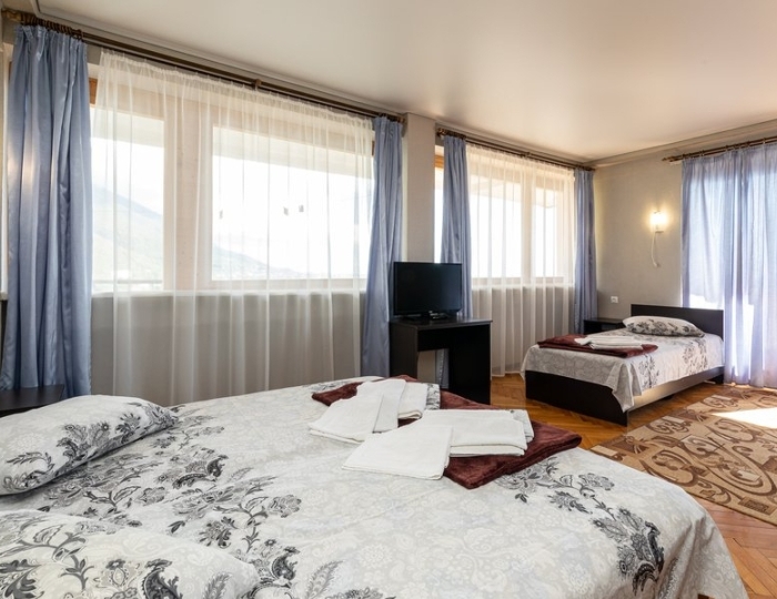 Люкс 3-местный 1-комнатный - Дом отдыха «Колхида» Гагра